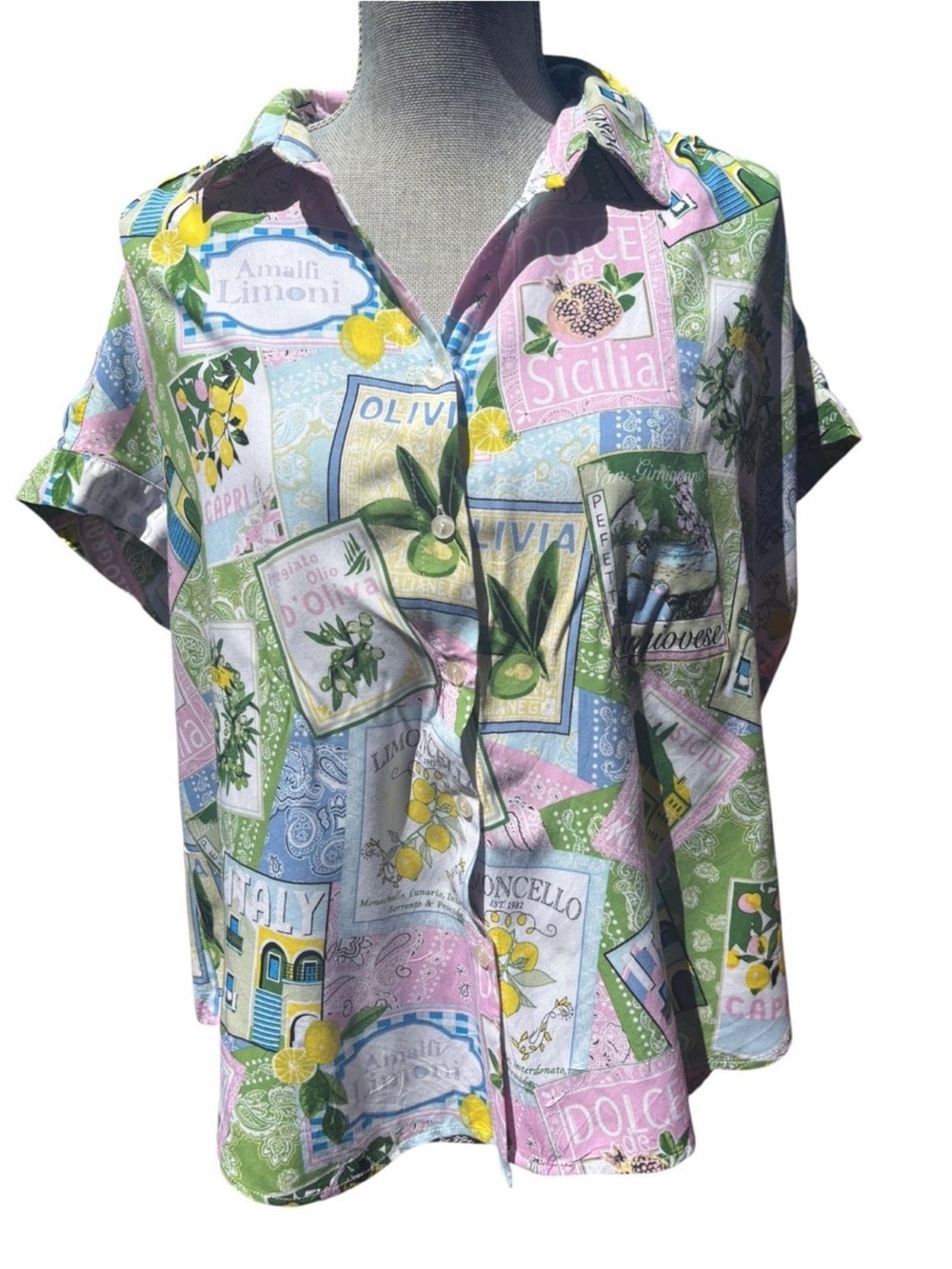 JANE + DELANCEY L Medetirenian Summer Travel Drop Shoulder Button Front Top - Picture 2 of 3